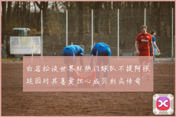 白岩松谈世界杯热门球队不提阿根廷因对其喜爱担心成贝利式传奇
